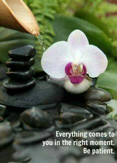 Holistic Health (@healiyacom) on Twitter photo 