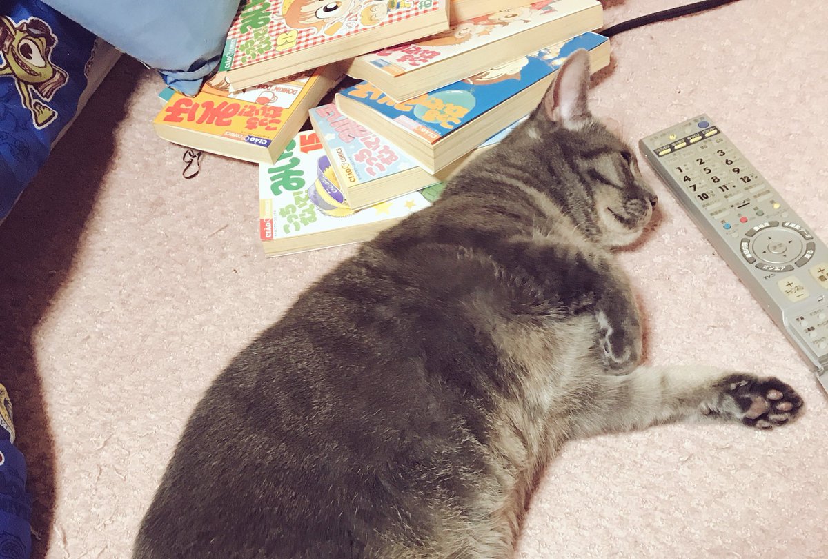 DEPPA___'s tweet photo. 読み返しまくりのこっちむいてみい子。部屋の汚さ。マルコの鯖感。 https://t.co/eSwvfEZUig