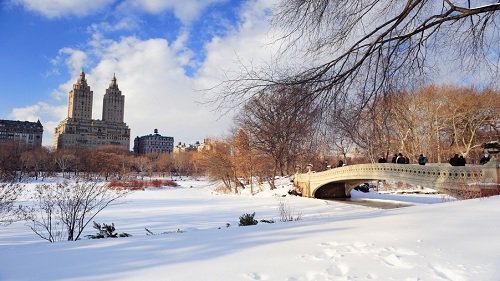 TripperTravelap's tweet photo. Descubre #NuevaYork con #TripperTravelGuide 
https://t.co/Sqg2IrubU5 https://t.co/TZaCwc3Vig