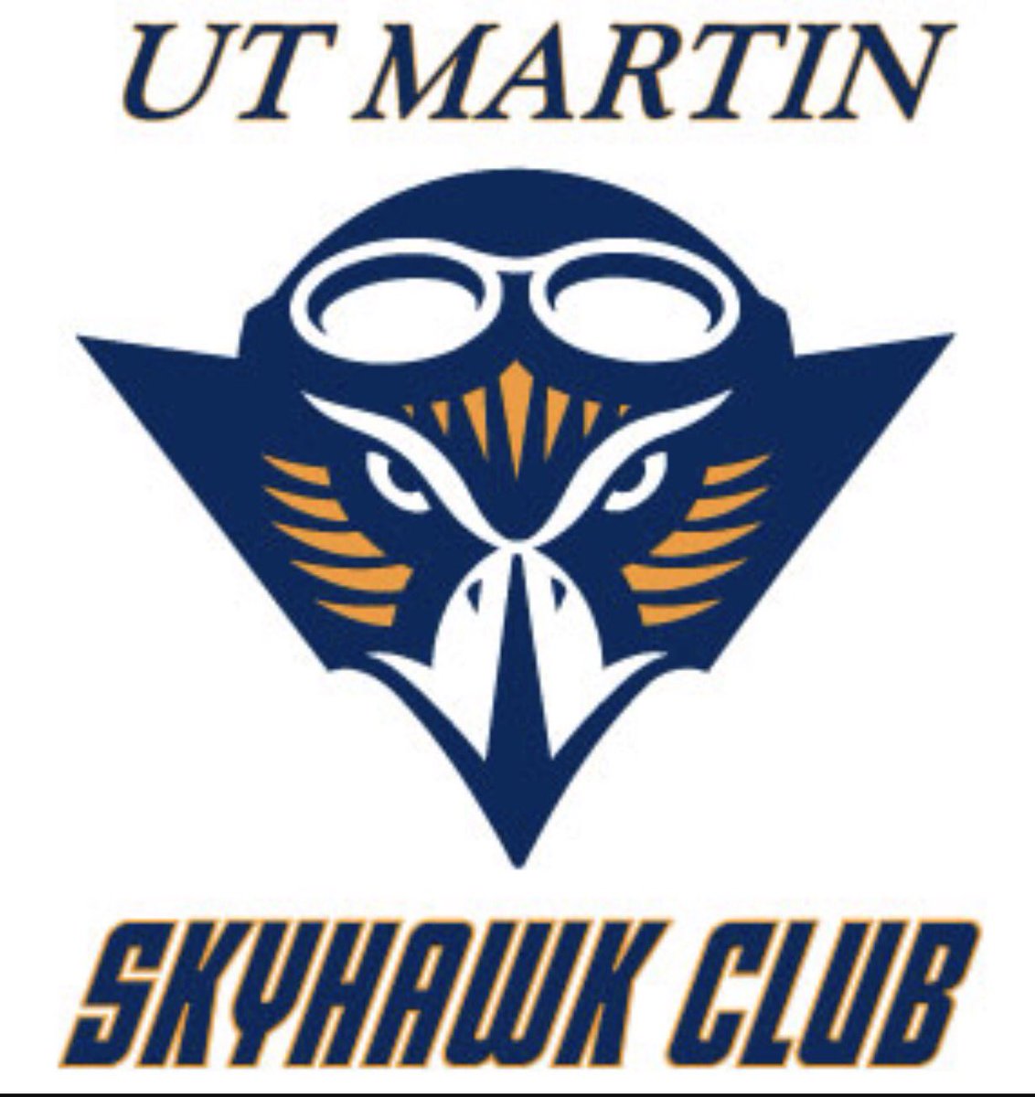 TooEasy_7's tweet photo. Blessed to say I receive my 1st D1 offer and my 6th scholarship offer to The University of Tennessee Martin
#Skyhawks #LetsFly  @Dbowman85 https://t.co/sfjiTT74hw
