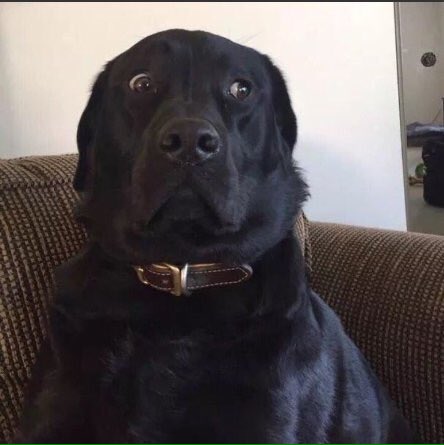 Cuando veo que mi mamá viene hacia mí con la chancla en la mano: