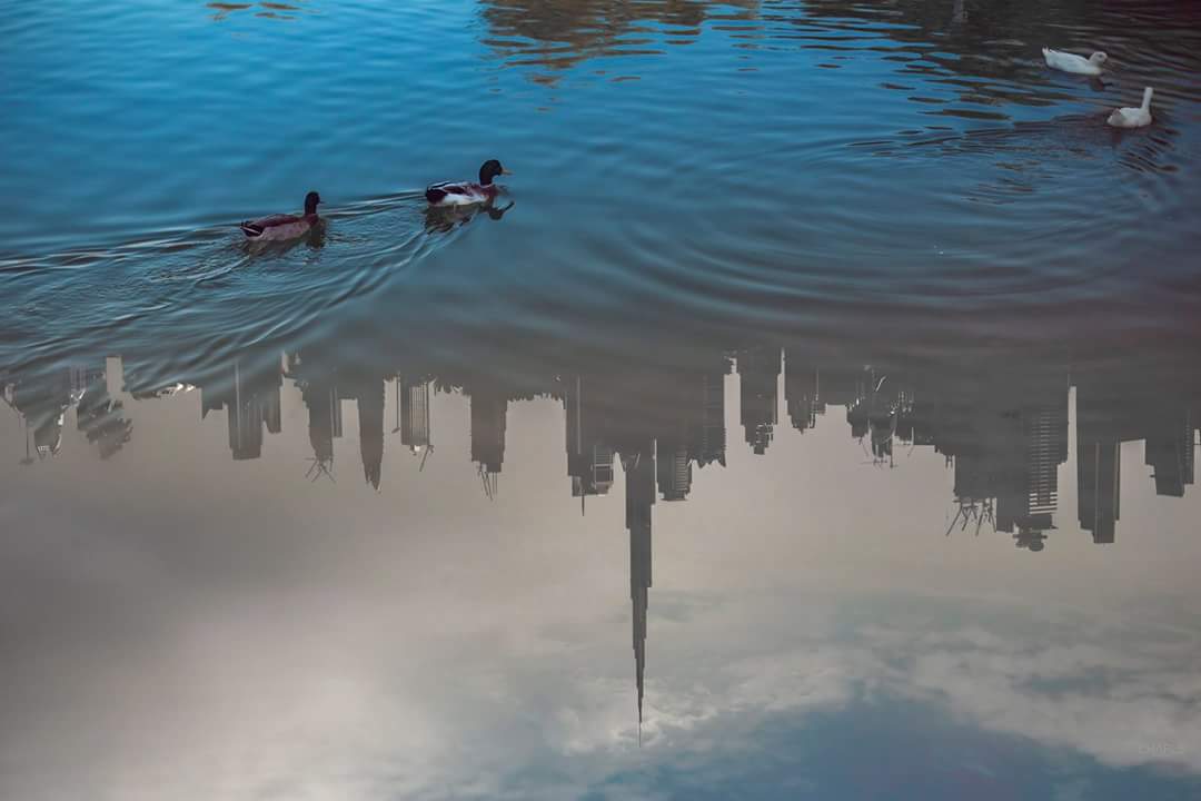 Burj Khalifa 💕 <a href="/Atthetop_tweets/">Burj Khalifa</a> <a href="/BurjKhalifa/">Burj khalifa official</a> <a href="/HHShkMohd/">HH Sheikh Mohammed</a> <a href="/TheDubaiMall/">Dubai Mall by Emaar</a>