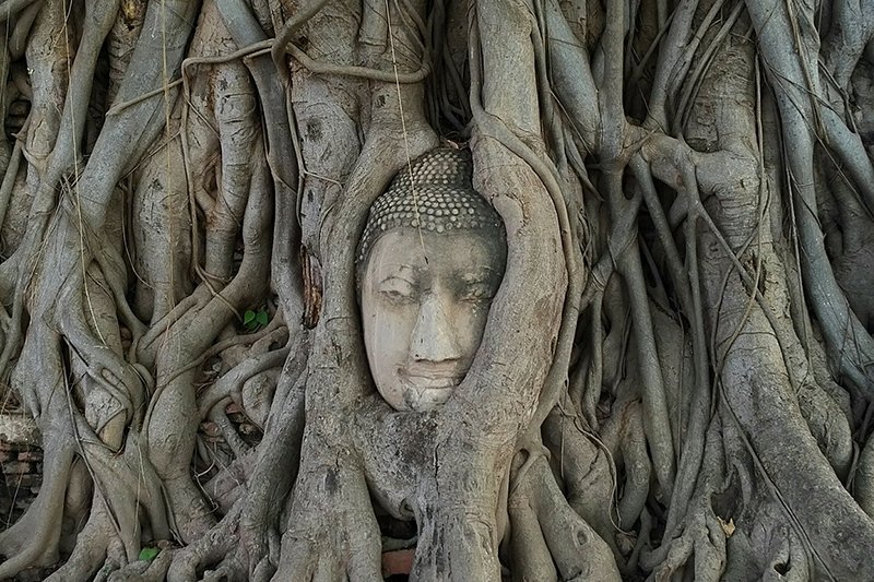 A Beginner's Guide to Ayutthaya: ow.ly/6TJf30cfnSt
#thailand #ayutthaya #travel #history 
#travelguide #travelasia #travelthailand