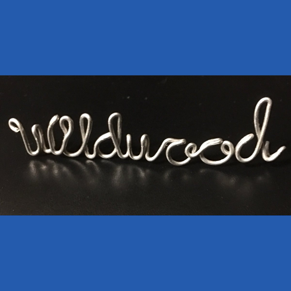DaveMaskin's tweet image. #wildwood #WireName created by @DaveMaskin #TheAmazingWireMan Available for appearances throughout the entire USA. DaveMaskin@yahoo.com