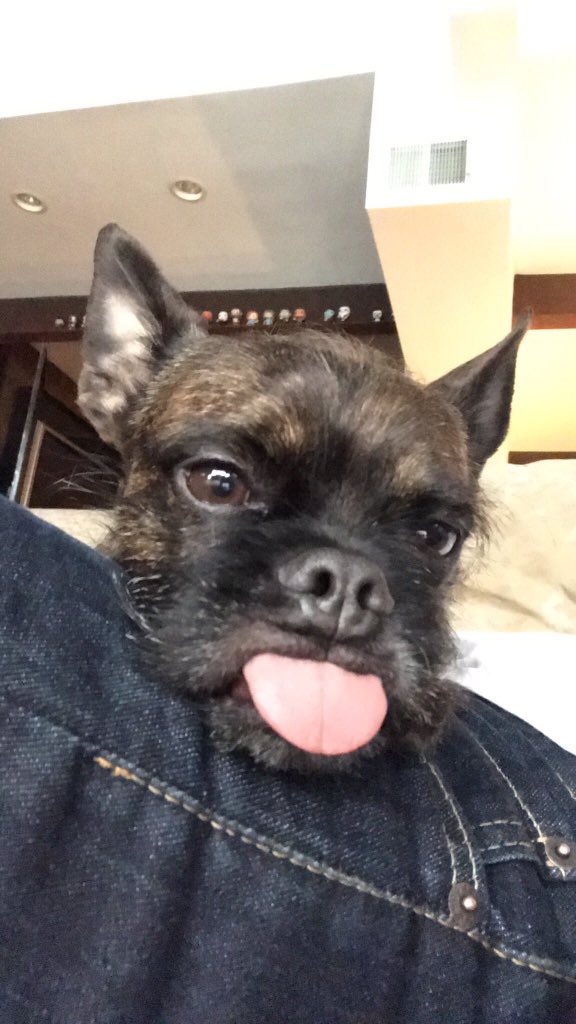 PoisonDeficit's tweet image. Like father, like son.