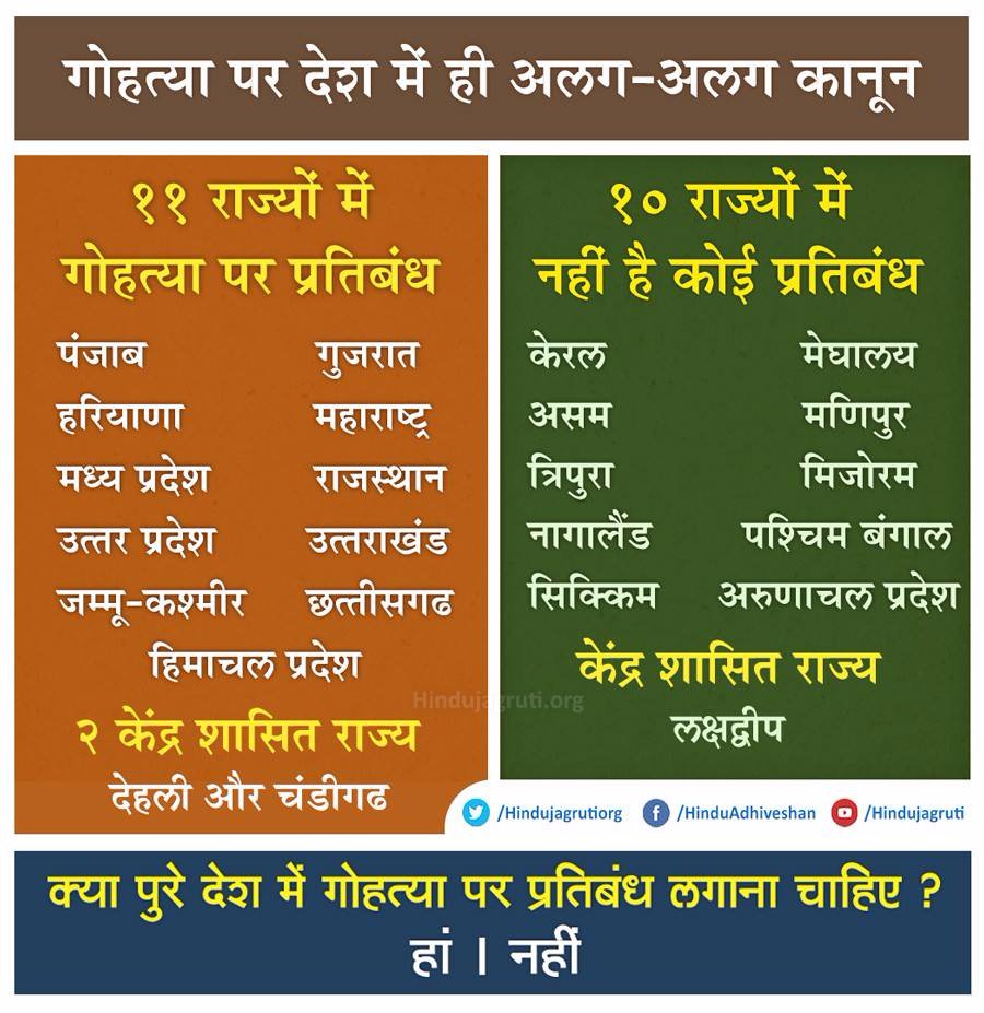 malimanish_1's tweet photo. #गौरक्षा_हिन्दू_का_कर्तव्य गोहत्या पर देश में ही अलग-अलग कानून? 
👉विस्तृत पढें : https://t.co/KeobGxK8Xr @ppdsevak @archanatambade https://t.co/b7qE8nLmbY