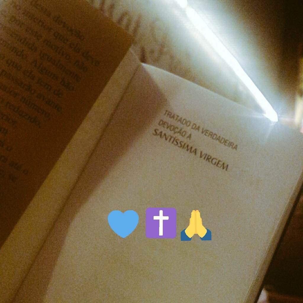 Kah_abreuu's tweet photo. "É por Ela que Jesus Cristo veio ao mundo e é por Ela que Jesus reinará nesse mundo!"
#AnoMariano #DevocaoMariana https://t.co/xFFJkkvpiO