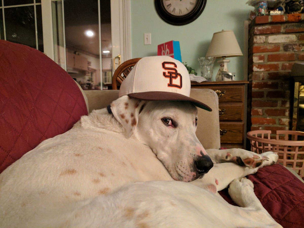 HeyYoges's tweet photo. Tfw Austin Hedges catches someone stealing and then homers in the same inning. #swoon #FriarFriday #BringBackTheBrown https://t.co/VEfPPIEi7W