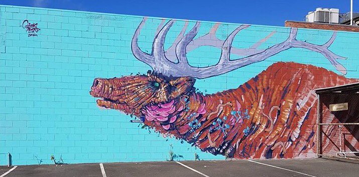 #Mural #Toowoomba #Australia #Streetart #firstcoat