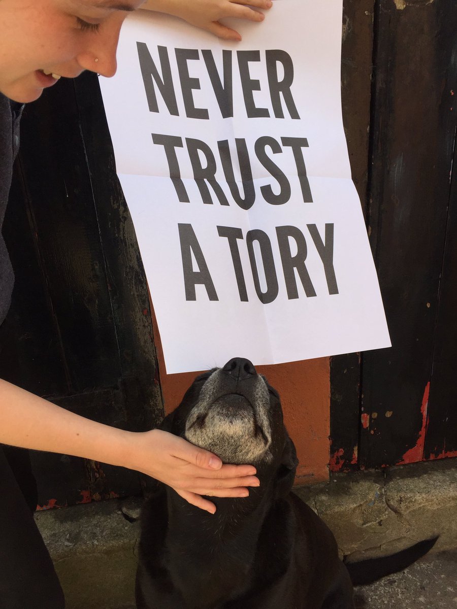 Be like this good boy and get them nasty fuckin horrible selfish arrogant foul tories OUT! Get them the fuck out!