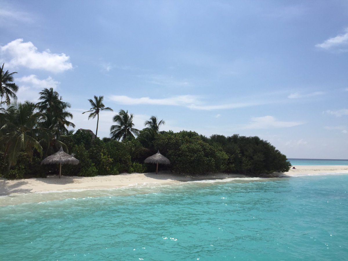 ceruleandayx's tweet photo. Enjoying look back views from a room over the blue waters ..... @KuramathiISLAND .....#Maldives #Views #LookingBackAndForward https://t.co/pFnWtssy8B
