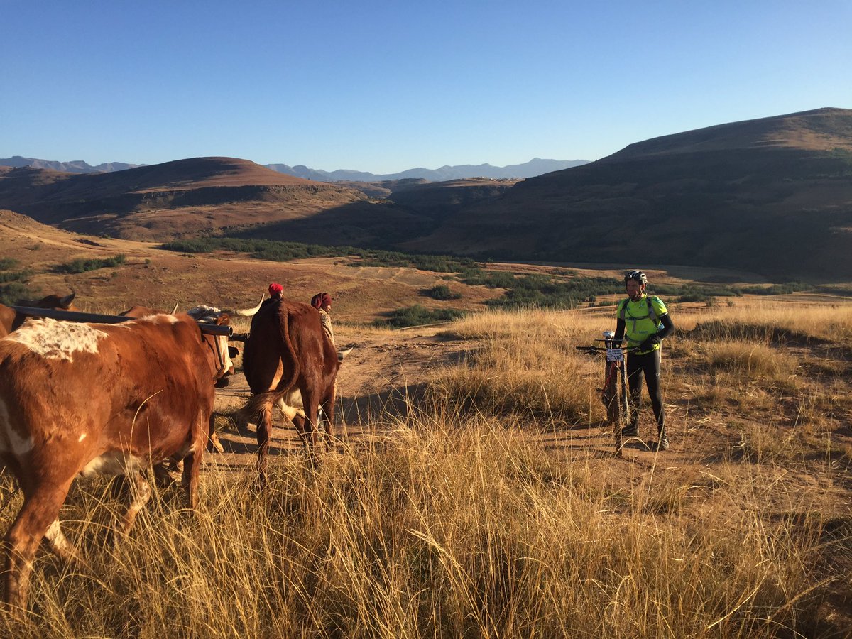 Chris Fisher tweet media