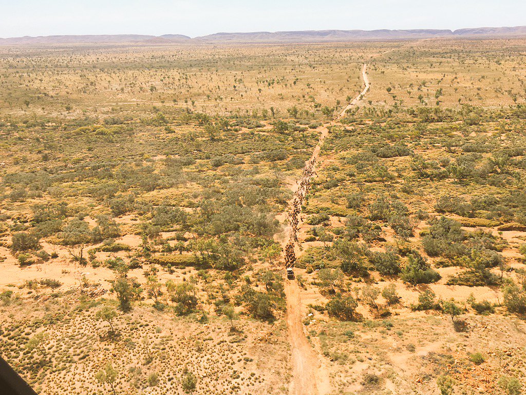 ABCoppin's tweet photo. Saturday funday #muster17 https://t.co/brUrtMVX1N