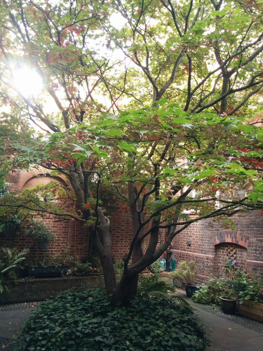 Looking forward to the first of our monthly parish breakfasts tomorrow. First Sunday of the month from 9:45 <a href="/StVedast/">St Vedast</a>