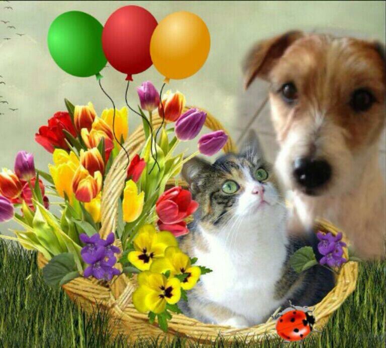 Wünsche allerseits ein angenehmes Pfingstwochenende 🌺