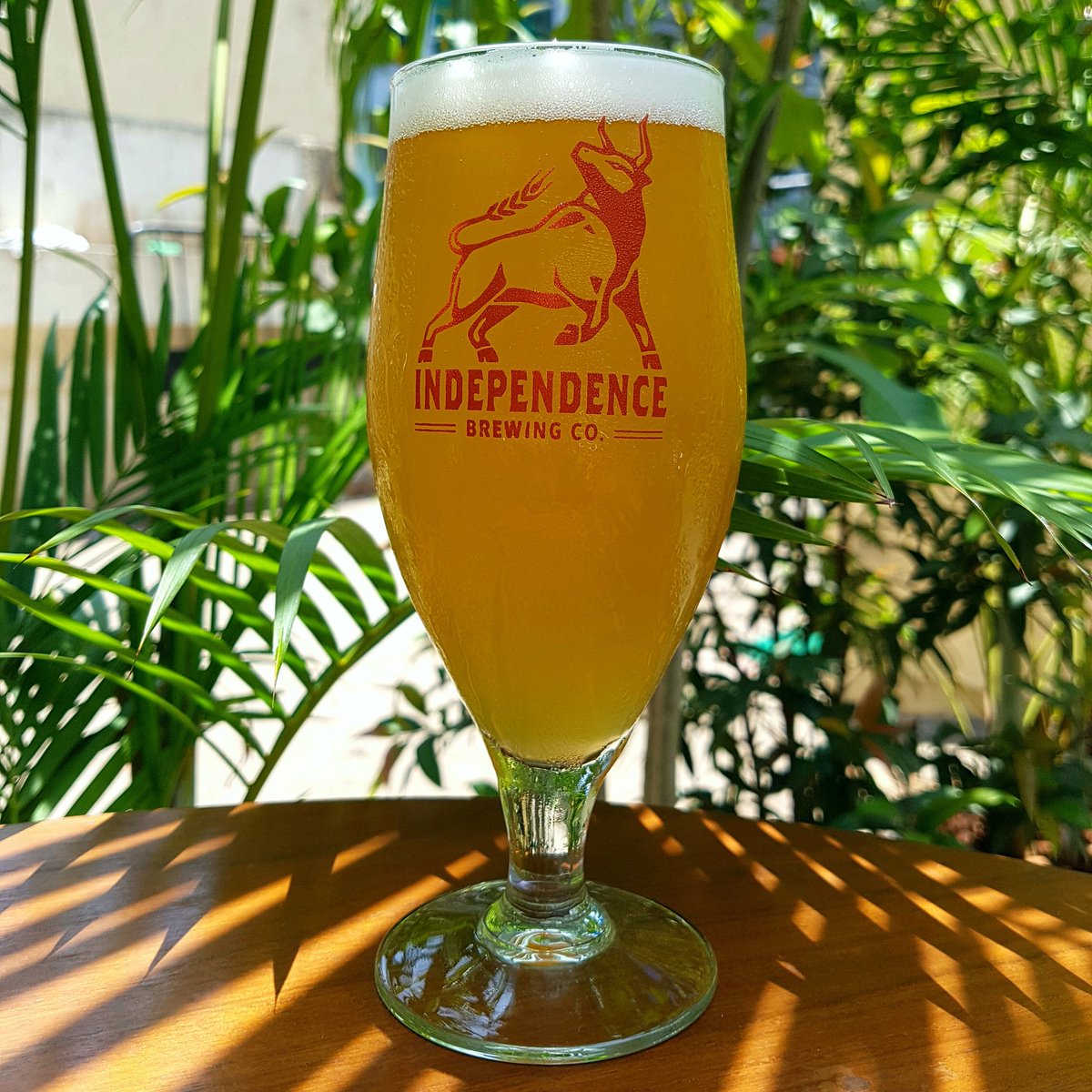 IndeBrewCo's tweet photo. The Belgian Blonde Ale now on tap at #andheri and #pune. This one is Sessionable af!
#newbeeralert https://t.co/1tKcuFYFDH