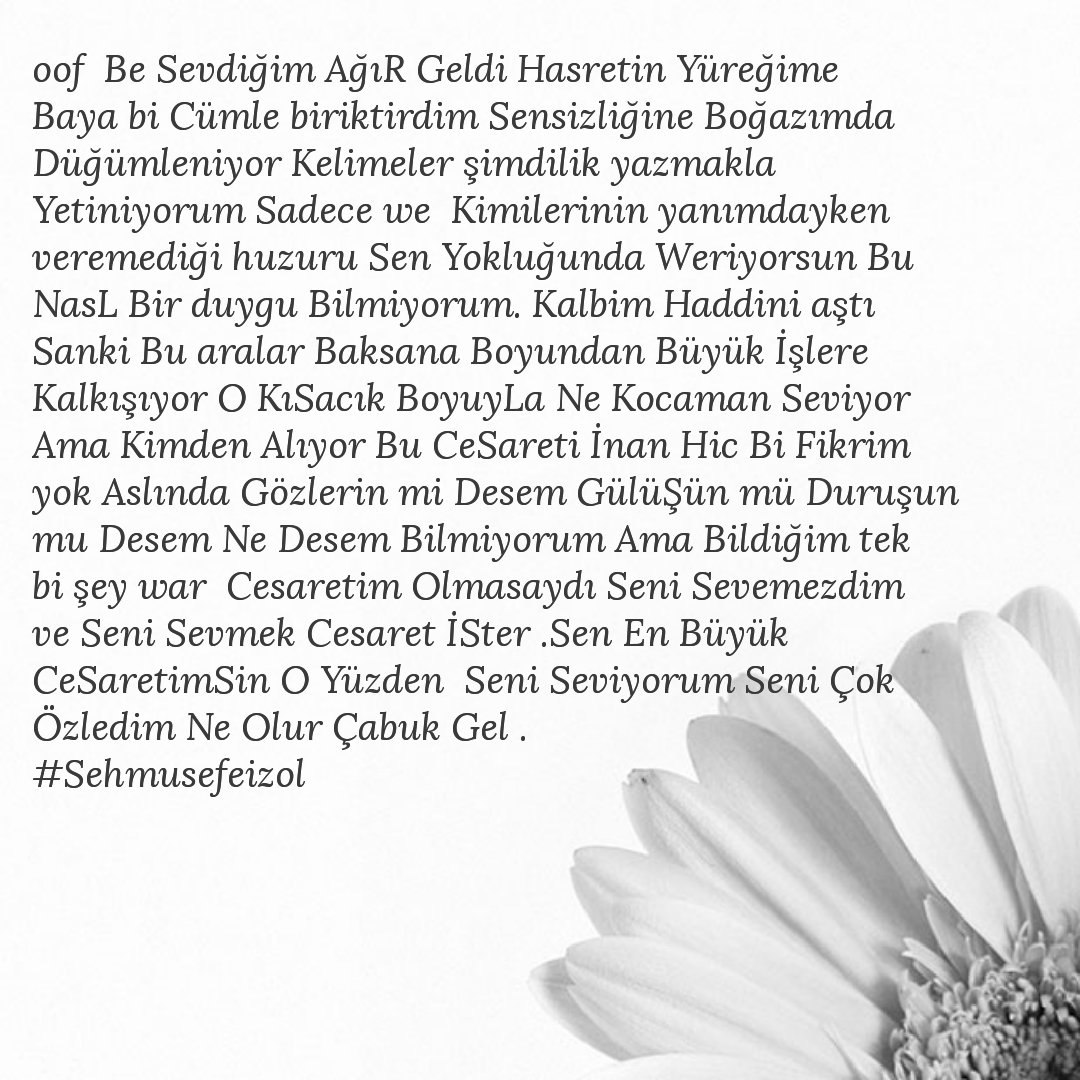 EfePolat63's tweet photo. https://t.co/UzuPVha4po