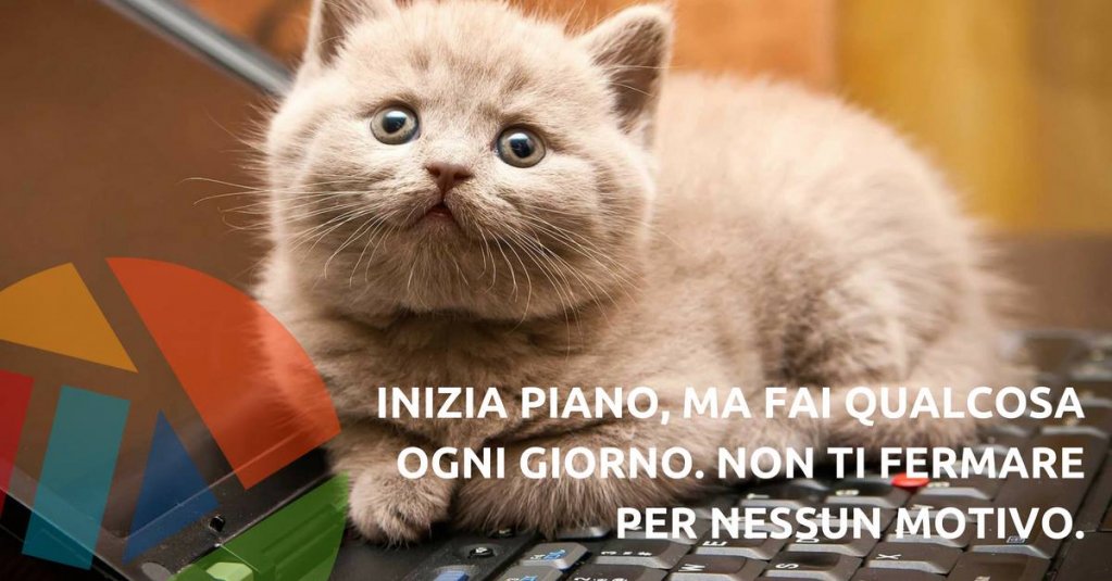 ivanturatti's tweet photo. scopri la #catIDEA di oggi e migliora la tua comunicazione https://t.co/odt3AczhP8 https://t.co/ik6iYmAUl4