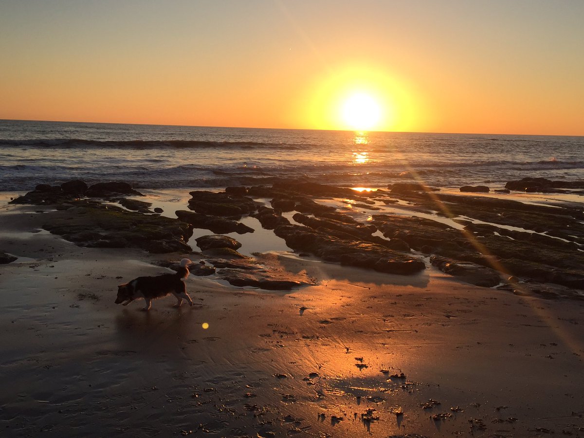 #islandstories #adventure #sunsetadventureswithmydog #IOW