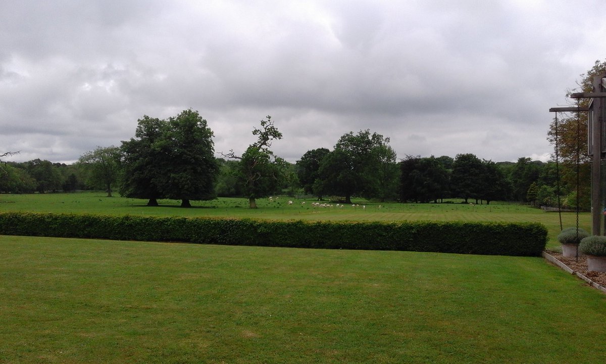 ThetfordMaths's tweet photo. Challenge 1: work out the ratio of deer to people at #MathsPartyWeekend https://t.co/oInp81C01w