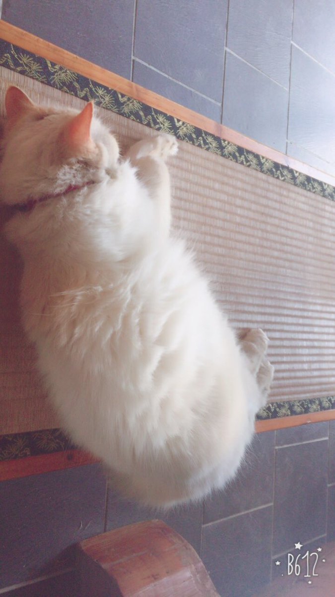 ぽいもん Tisqemlm3iaixhe Twitter