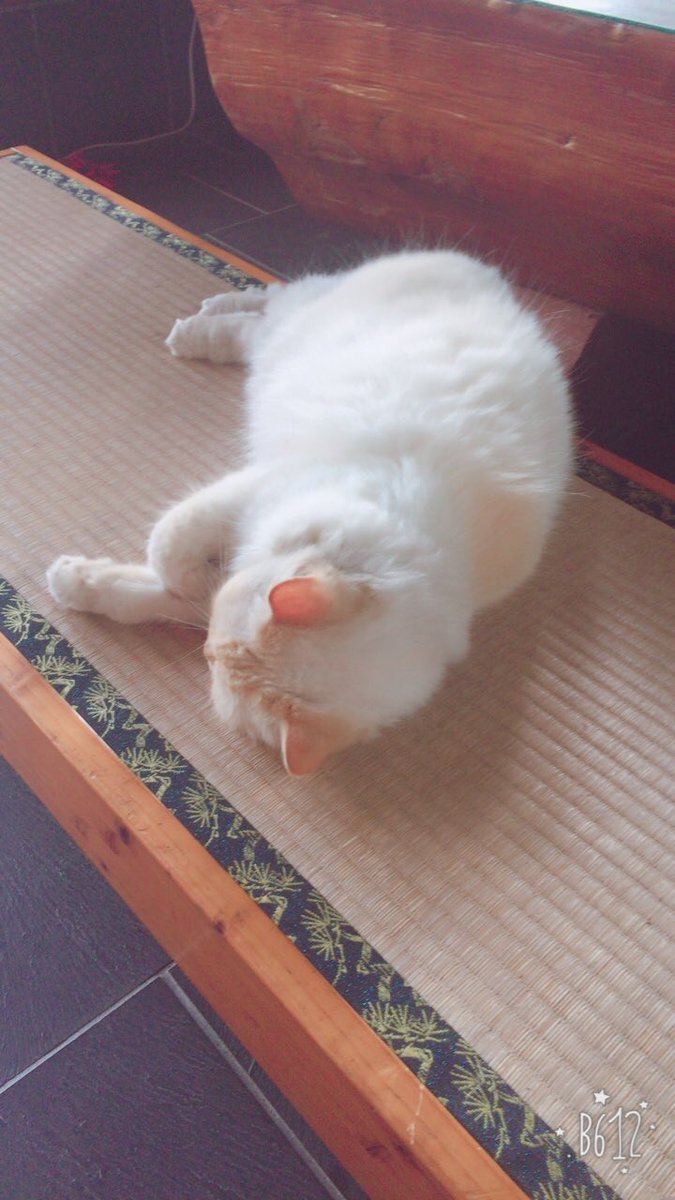 ぽいもん Tisqemlm3iaixhe Twitter