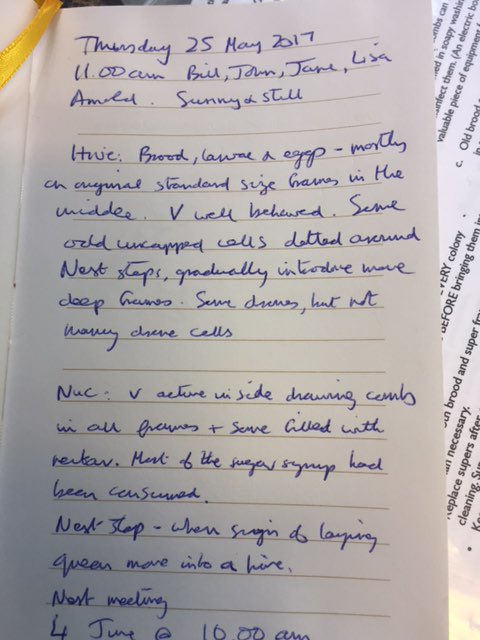 bee7forestgate's tweet image. 