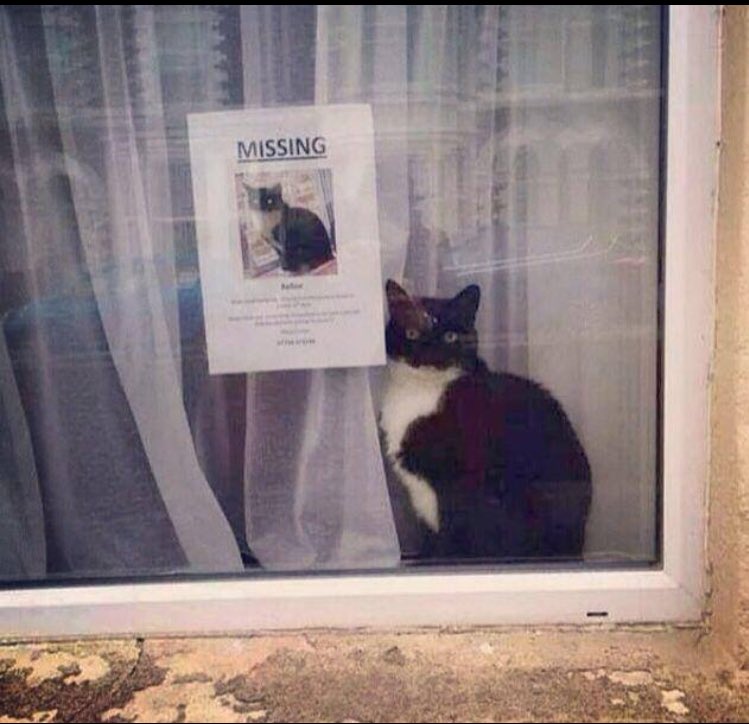 hansdenk's tweet image. Opgelost!