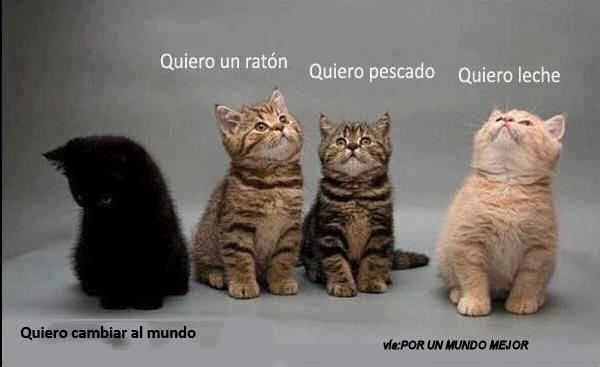 PUMundoMejor's tweet photo. https://t.co/w7PmucST8y