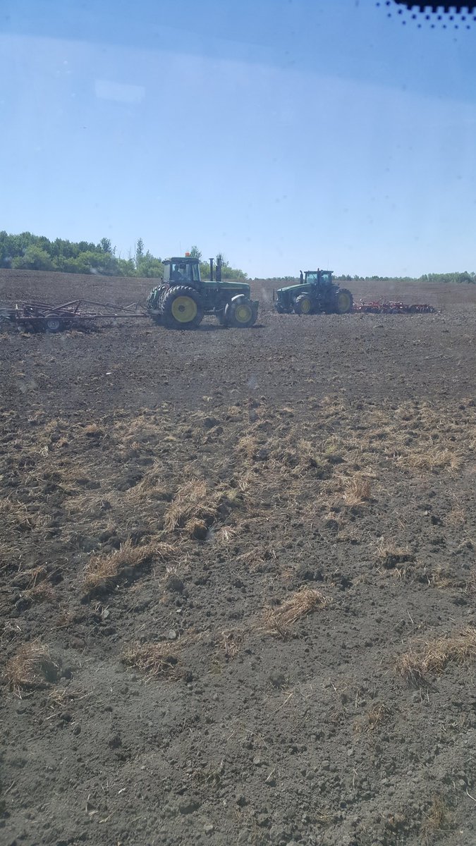 fullbins's tweet image. Extra iron today trying to finish beans