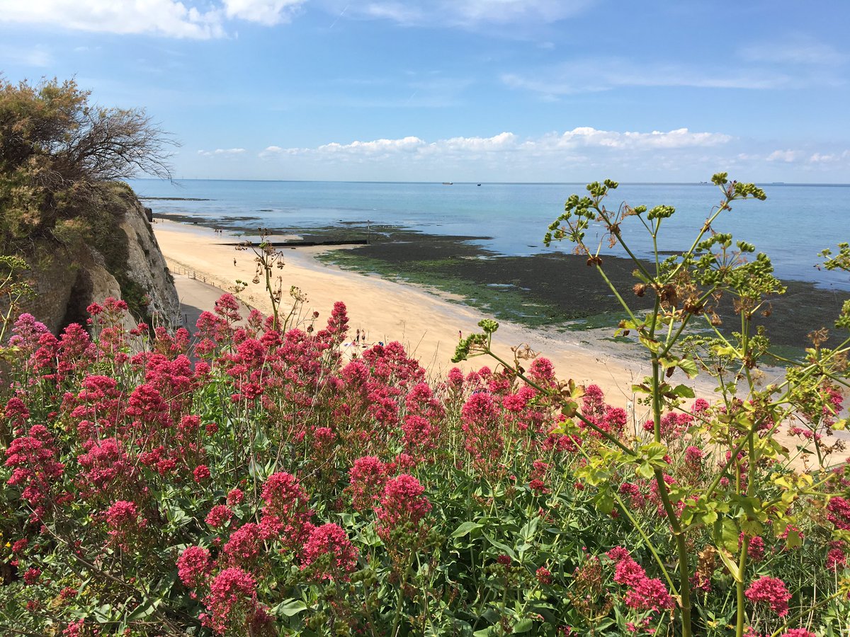 WalpoleBaySwim's tweet photo. It's stunningly beautiful out there. Water nice and warm, the days of long luxurious swims are here! https://t.co/m3yuFDxRGg