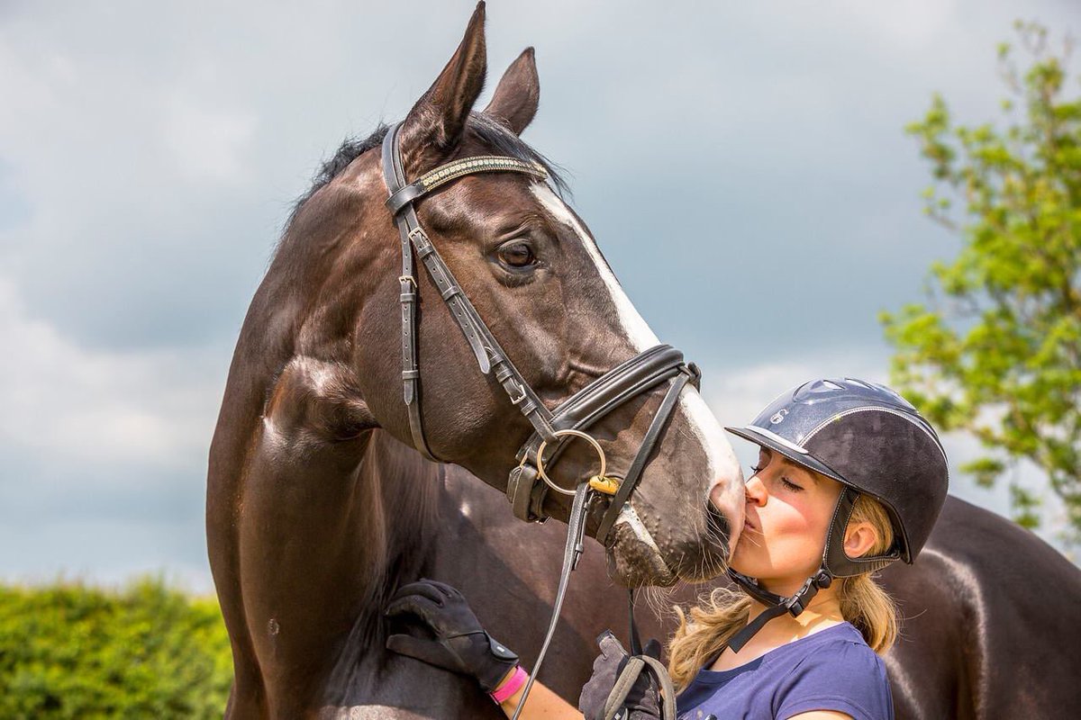 AllenDressage's tweet photo. Today I competed Maggie for the first time we had just under 68 lots of you know it's not been an easy road but I'm so excited @scharfuk@naf https://t.co/nafetzRscC