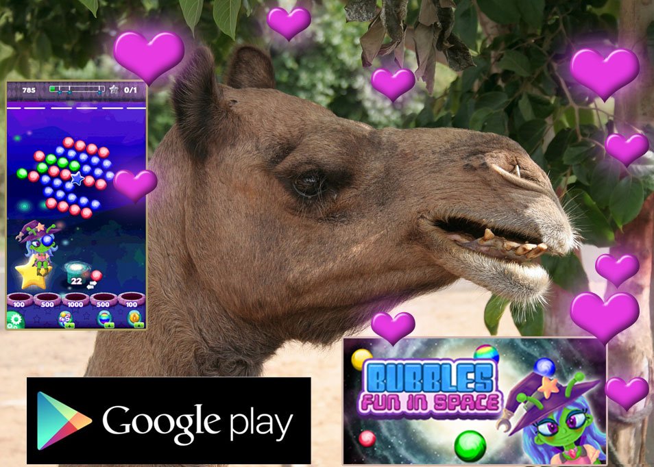 BubblesFunSpace's tweet photo. Is it #hot in here! https://t.co/pVocxROZfK #camel #bubblegames #puzzlegames #videogames #apps #googleplay #love #animals #bubbles #store https://t.co/OUfFTfF0U6