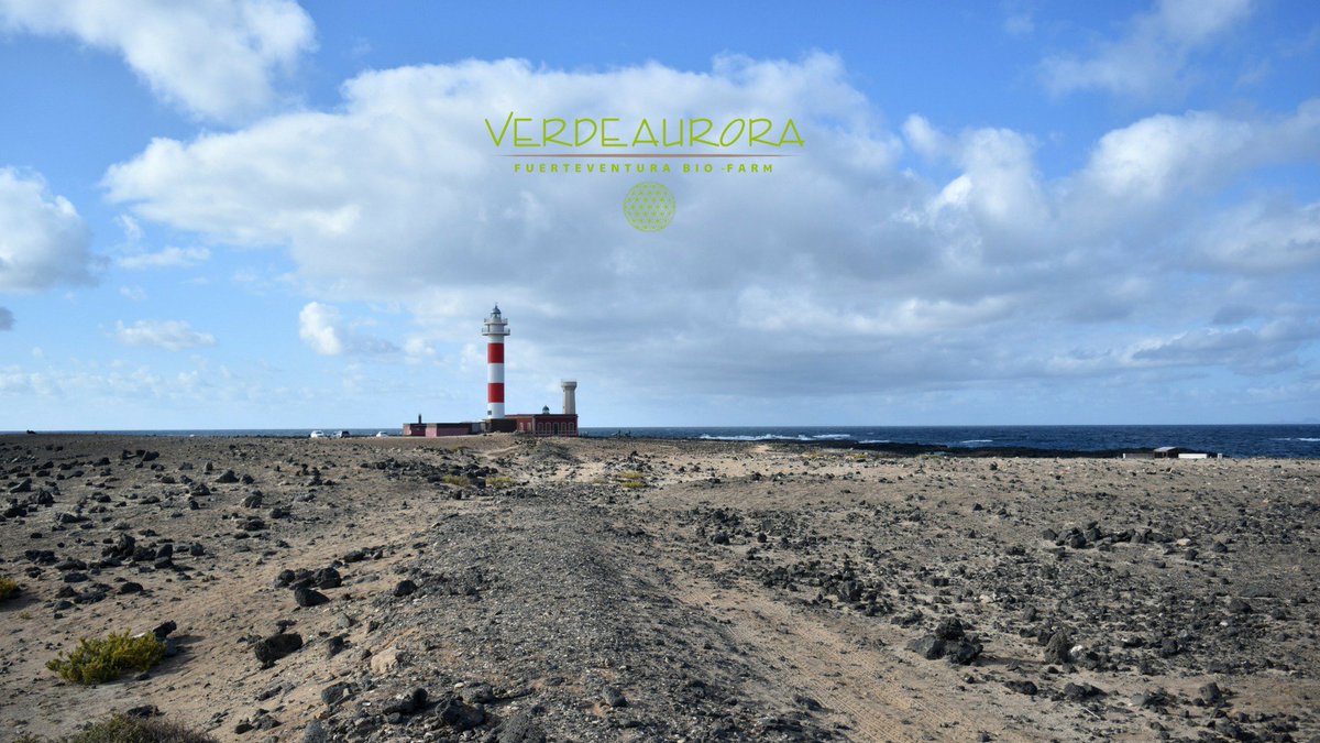 VerdeauroraBio's tweet photo. Feliz #sábado de paseo por los rincones de #Fuerteventura 😀 https://t.co/FdzzB1Zayk