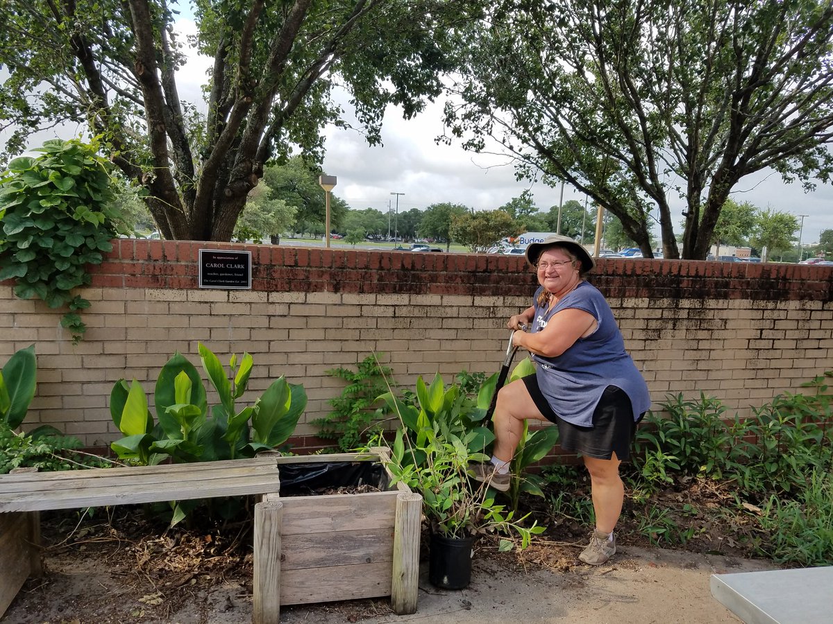 EnviVick's tweet photo. Plant rescue with the wonderful Carol Clark!  Construction @MHSMavs starts Monday! https://t.co/aPVpn4gcQd