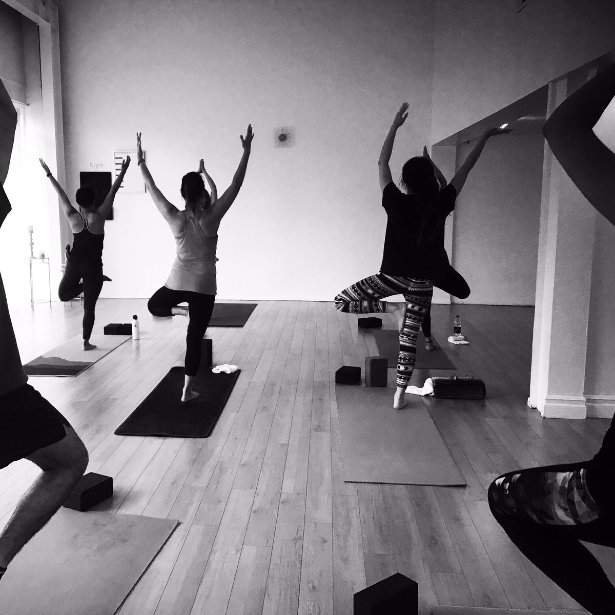 studiotwosixtwo's tweet photo. #treepose , so many benefits from just standing still.
#vrksasana #studio262 #respectyourhustle #respectyourflow #thewallatstudio262 https://t.co/aGuJc3RFO1