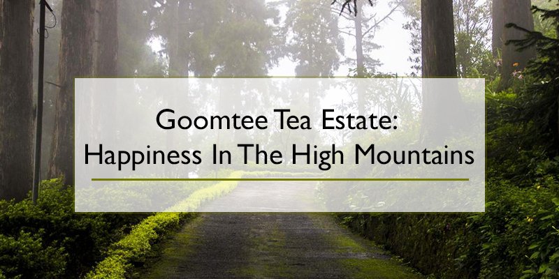 VAHDAM_India's tweet photo. Thank you @goomteetea for an honest tete-a-tete on #Darjeeling for #Teatime with #Vahdamteas. Read the #blog here: https://t.co/h93v6kTaW7 https://t.co/XkDQvWtd6Z