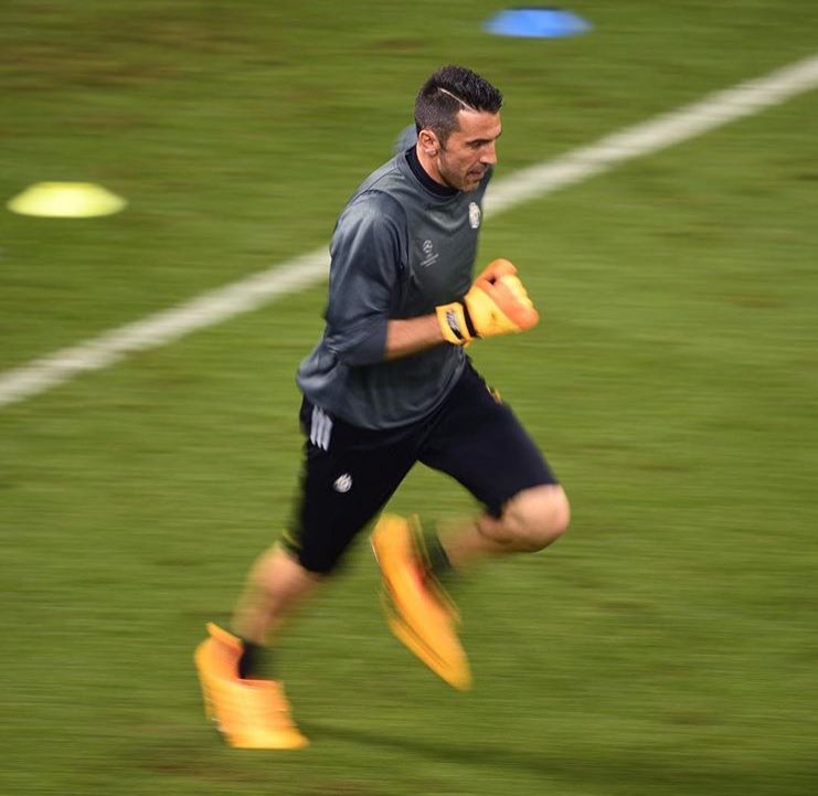 puma buffon puma buffon