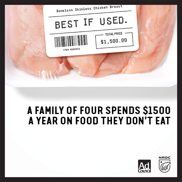 katiecouric's tweet photo. A family of four spends $1500 a year on food they don’t eat. Learn more @ https://t.co/Jcee850C4s &amp; watch @cookscraps tomorrow on @FYI! https://t.co/uUpIlGE582