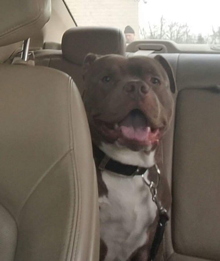 dasunofsam's tweet photo. @AmyFreeze7 this is Gucci https://t.co/gphGQnfruk