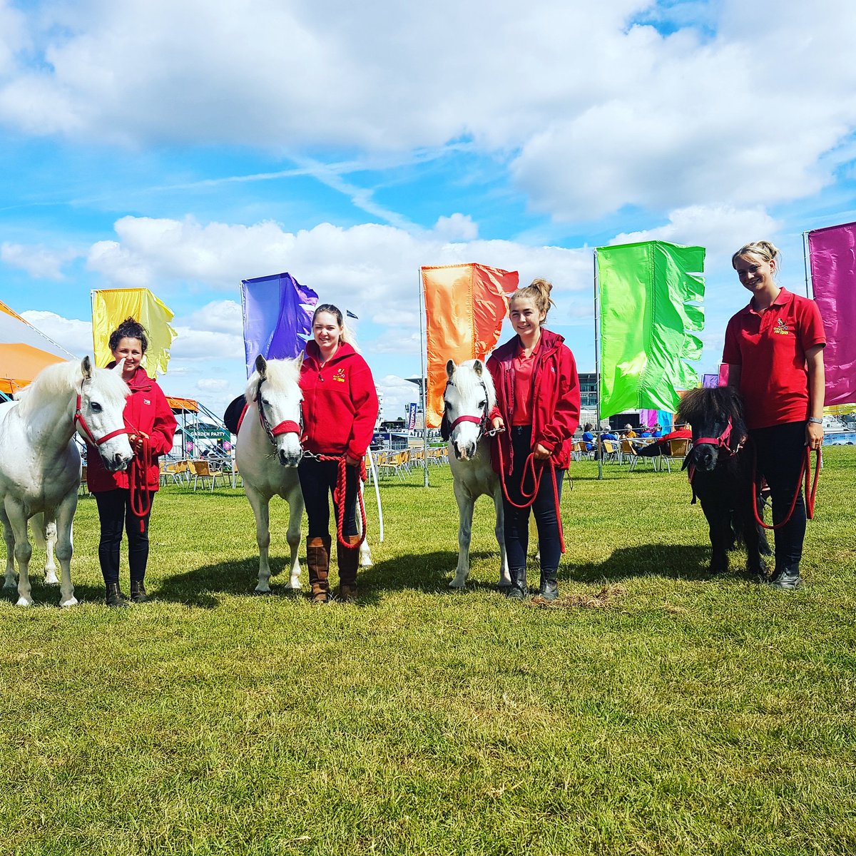 DPriest75's tweet photo. #thisistheone #DerbyDay #onthehill #clipclopponyrides #equinehappy #ponyhour 
At #EpsomDerby with clip clop pony rides ❤🦄🏇 https://t.co/Y2asw558v8