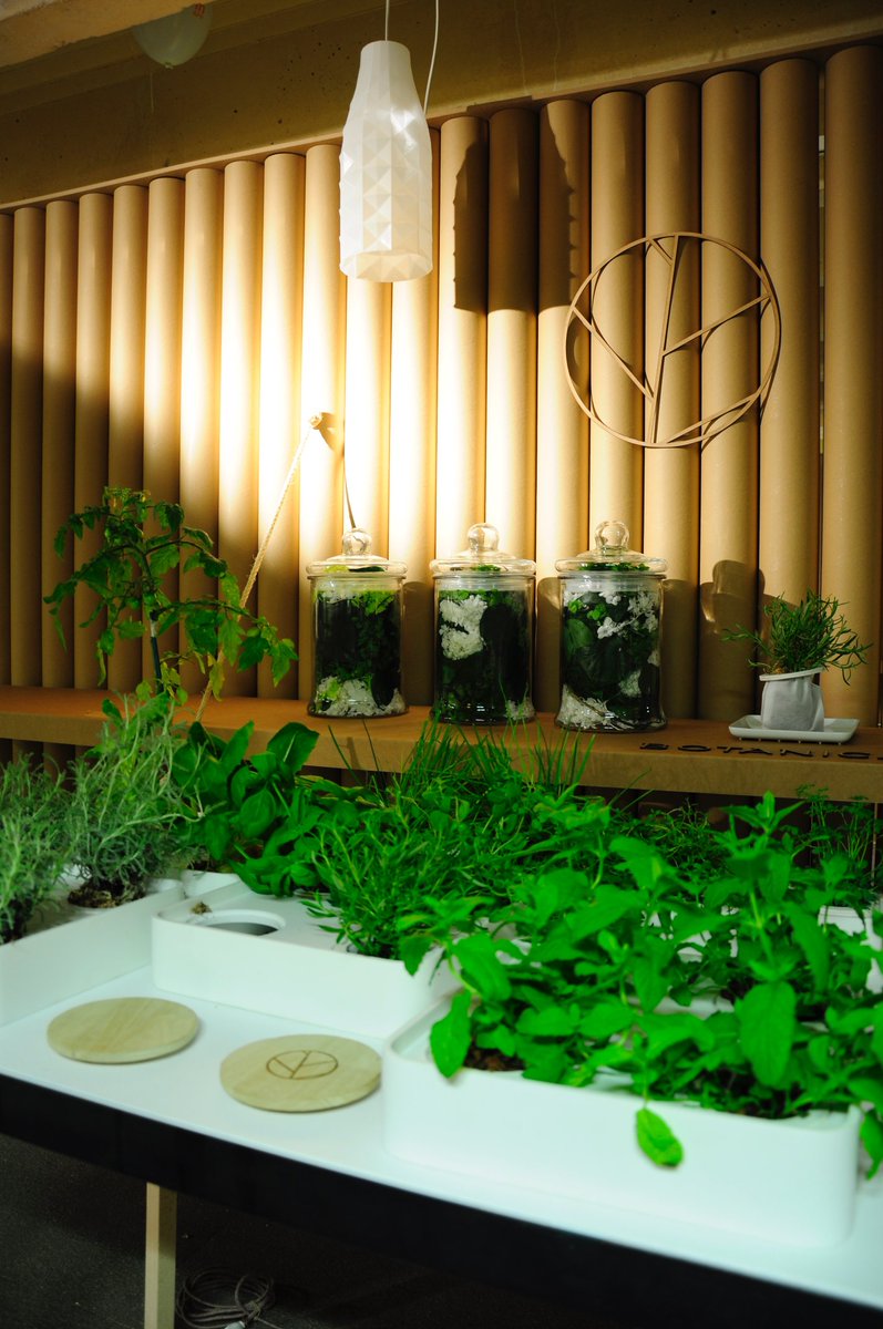 BotanicaFEX's tweet photo. Botanica, además de ambientadores florales, trabaja en nuevos proyectos. Uno de estos son las mesas de cultivo, un nuevo espacio natural https://t.co/VclzdwI6SN