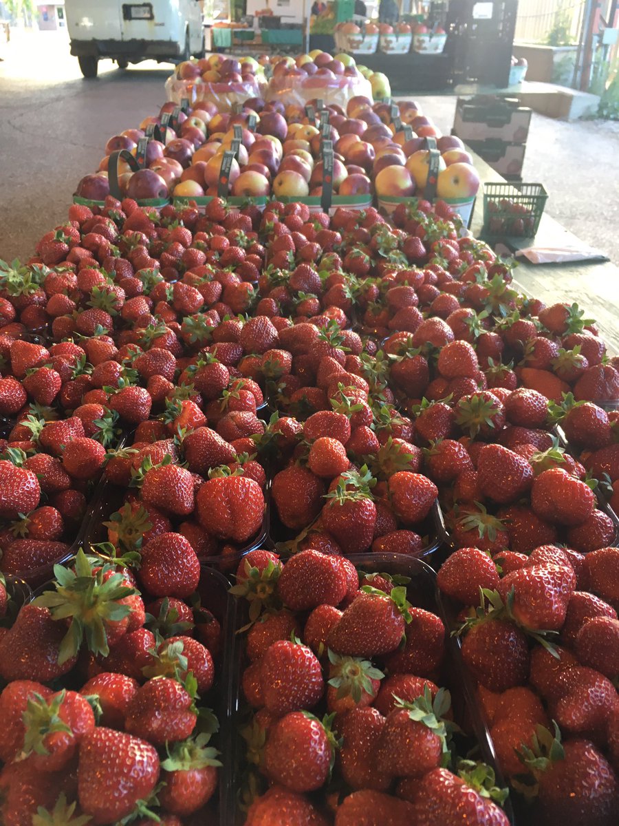 QueiroloMarina's tweet photo. @localfoodweek #ontario strawberry season! celebrate #LocalFoodWeek @EGbrickworks @bizjakfarms @TOfoodpolicy @TheStopCFC @WithrowMarket https://t.co/uMF4RWpFf1