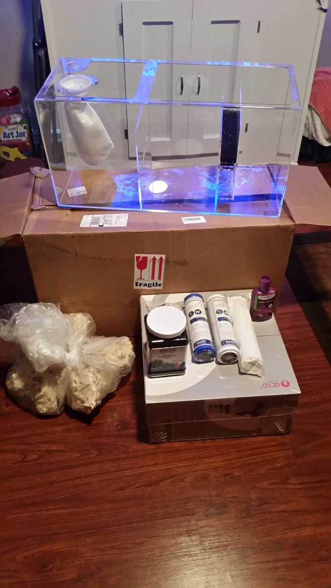 SW_Innovations's tweet photo. We received another equipment shipment from @BulkReefSupply . This is for our frag tank system. Follow us today and stay tuned for updates. https://t.co/nVuDuwsrxI