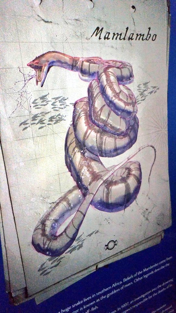AlbertoMnndz's tweet photo. Criaturas marinas de la mitología en #Hidropolis, el museo del agua en #Breslavia! @wroclaw_info @Wro2016 #Wroclaw https://t.co/b3IRSi3UOR