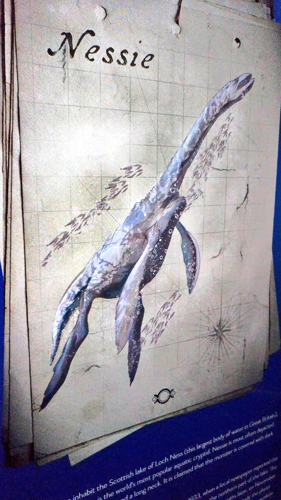 AlbertoMnndz's tweet photo. Criaturas marinas de la mitología en #Hidropolis, el museo del agua en #Breslavia! @wroclaw_info @Wro2016 #Wroclaw https://t.co/b3IRSi3UOR
