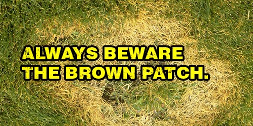 WeedProLawnCare's tweet photo. Kill Brown Patch Before it Kills Your Turf 
https://t.co/qtenbO5PEO
#WeedPro https://t.co/a39pmILnya
