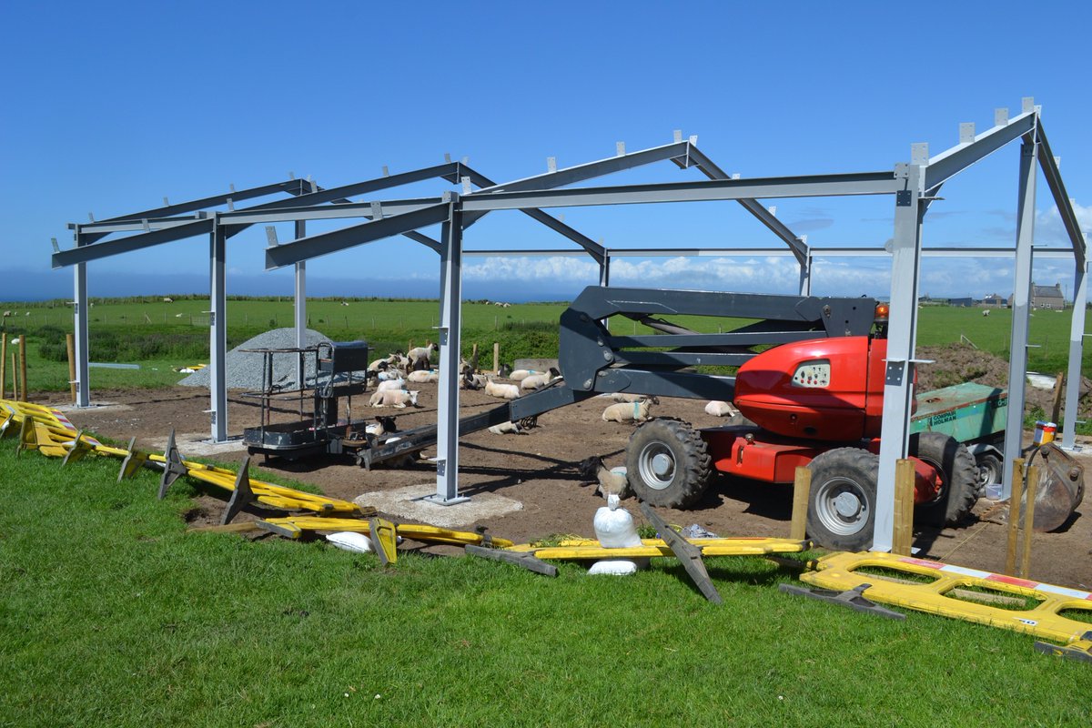 cwttatws's tweet photo. Cwt newydd Cwt Tatws yn agor mis nesaf.Defaid wrth eu bodd!New shed opening next month, the ladies love it! https://t.co/suL5tIJixp