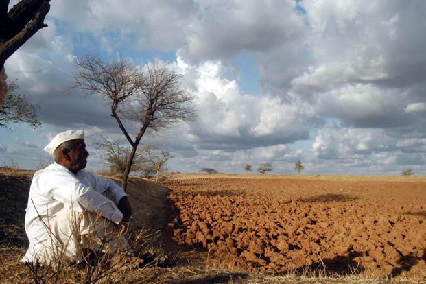 who_is_csd's tweet photo. please solve the  #MaharashtraFarmers issue....looking fwd for good decision frm #CM https://t.co/FsA1ZKVWoq