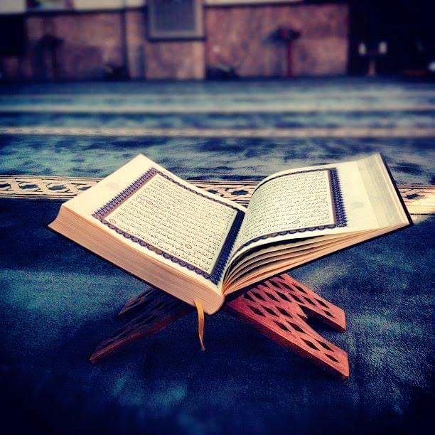 BalliuEda's tweet photo. اللهم اجعل القرآن ربيع قلوبنا💟 ونور صدورنا💟 وجلاء حزننا 💟وذهاب همنا يارب العالمين☝ https://t.co/nETrB9VcDl